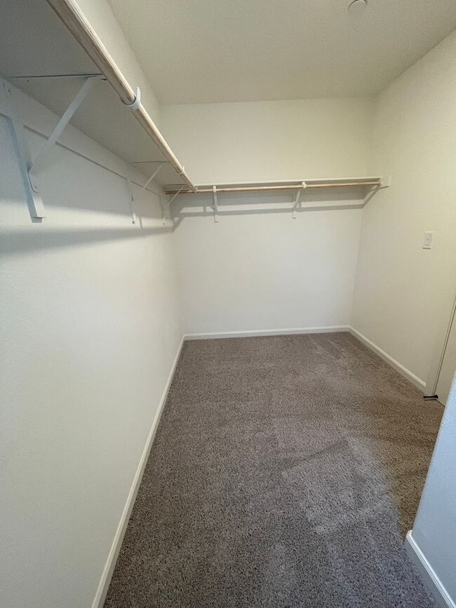 Building Photo - Beautiful new home with open floor plan av...