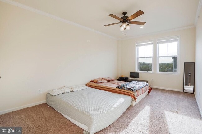Building Photo - 24553 Rosebay Terrace