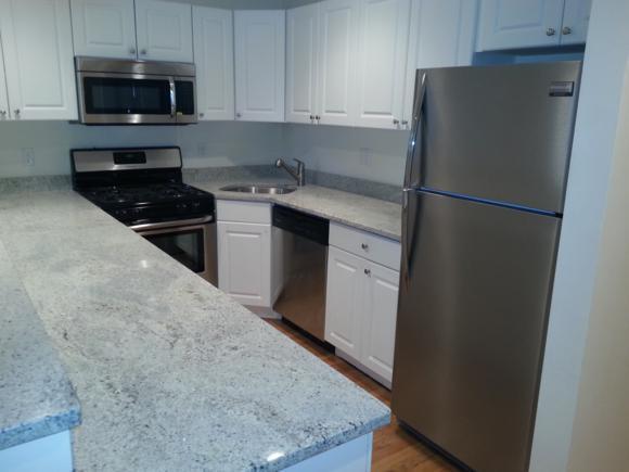 Building Photo - 62 Egmont St