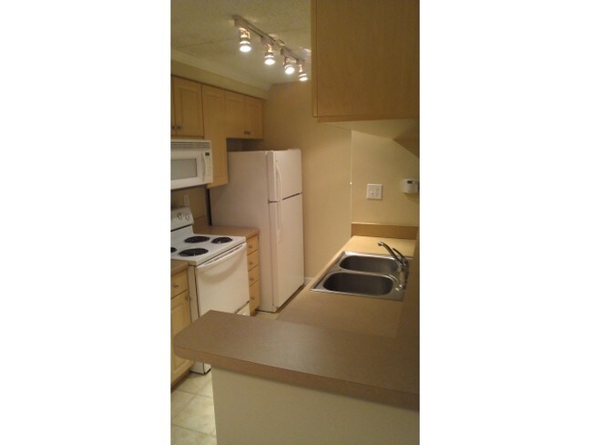 Building Photo - 5304 W Kennedy Blvd