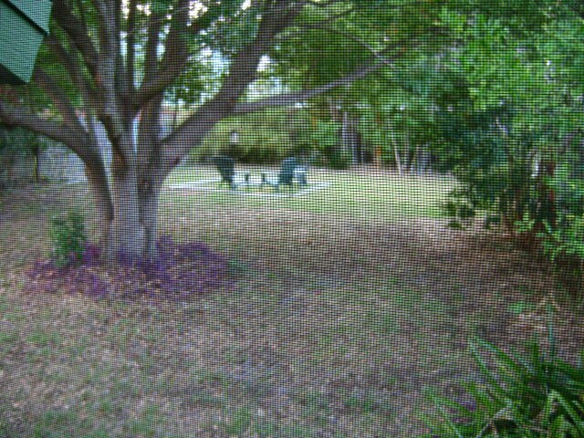 Building Photo - 12389 Antonio Cir