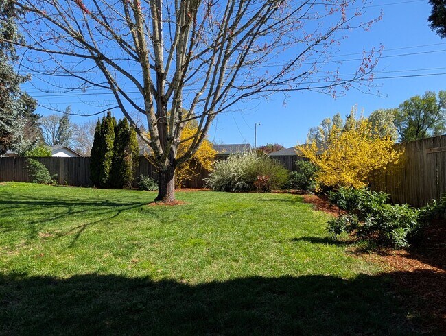 Building Photo - Great 3-Bed/1-Bath Home In Santa Clara Area!