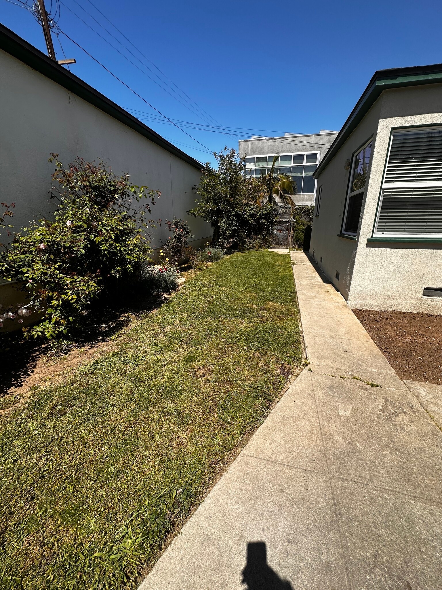 Building Photo - 655 Rose Ave