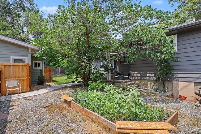 Building Photo - "Charming 3-Bed Home in Longmont – Spacious 1400 Sq Ft Living!"