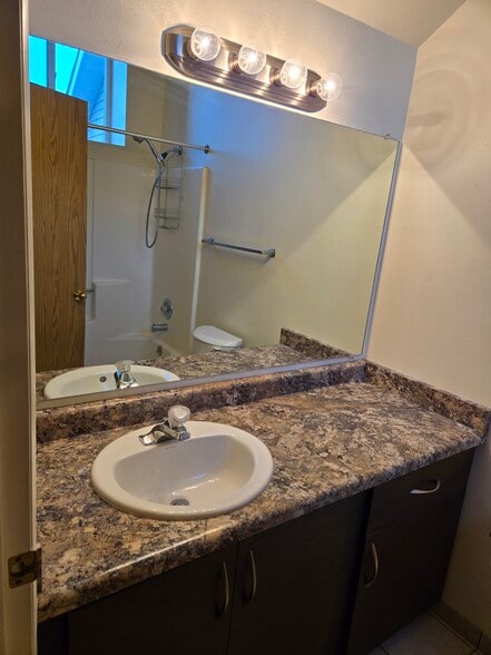 Master sink - 4207 W Bampton Ln