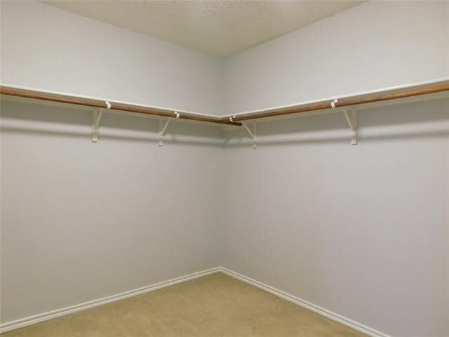 Building Photo - 3620 Lipizzan Dr