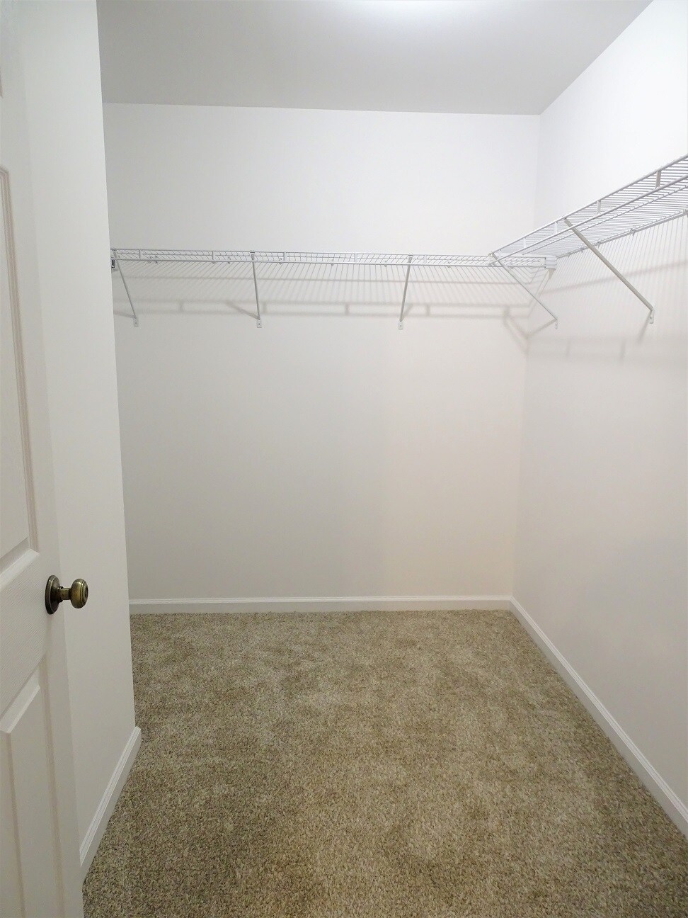 Building Photo - 207 Abbey Ln