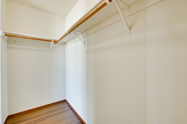Building Photo - Hardwood Floors- A/C- Full Bedroom and Bath on First Floor: Fresh Paint