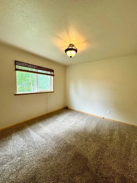 downstairs bedroom - 40111 Frogberry St
