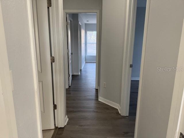 Building Photo - 1803 Royal Ridge Dr