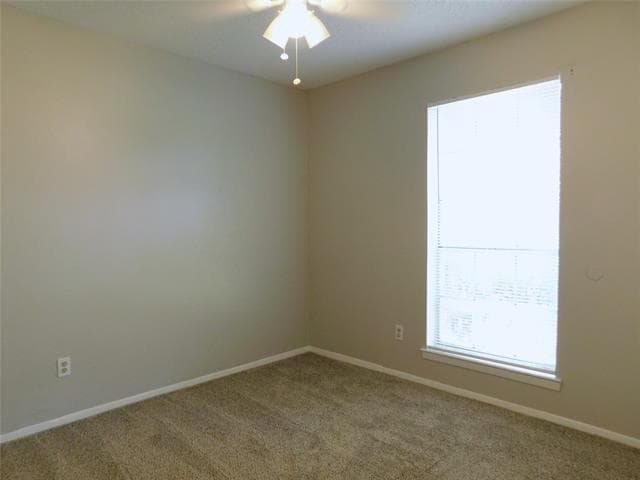 Building Photo - 217 Mockingbird Ln
