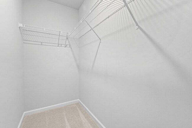 Building Photo - 2638 Chert Ln