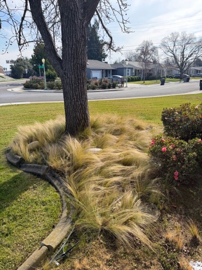 Building Photo - Charming 3-Bedroom Home on a Corner Lot