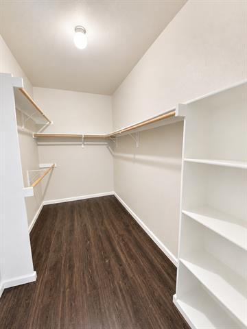 Building Photo - 708 San Antonio Trail