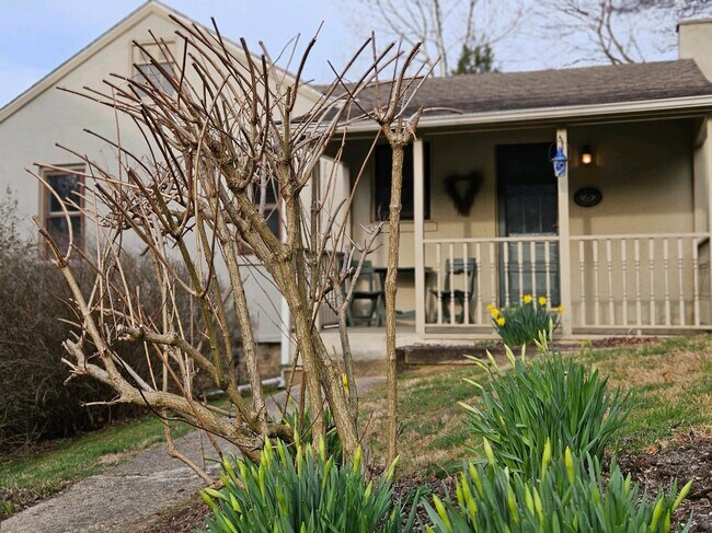 Primary Photo - 825 Creek Rd