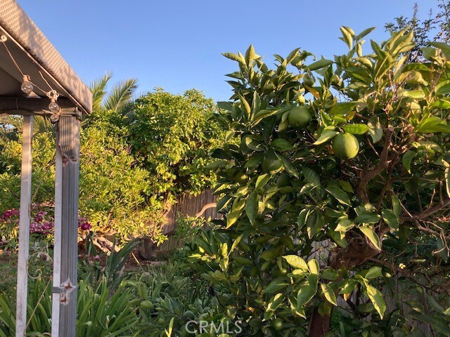 Building Photo - 25262 Via Piedra Roja