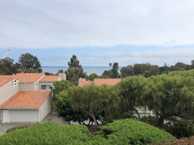 View from living room - 28214 Rey De Copas Ln