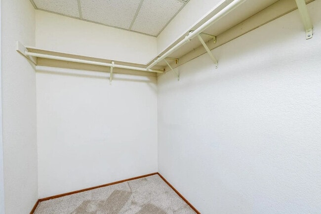 Building Photo - 4681 Albany Cir