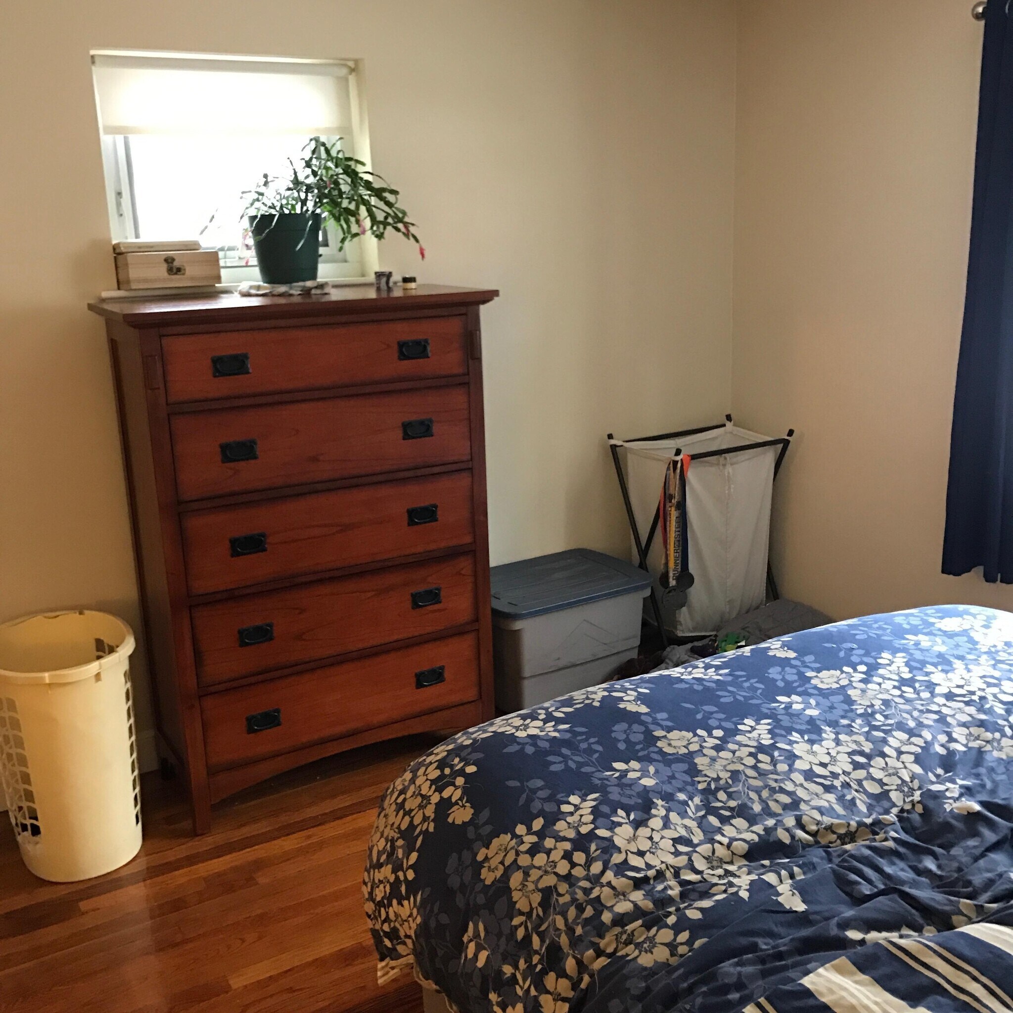 Building Photo - 79 Chestnut St