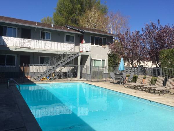 Pool - 1657 Ontario Dr