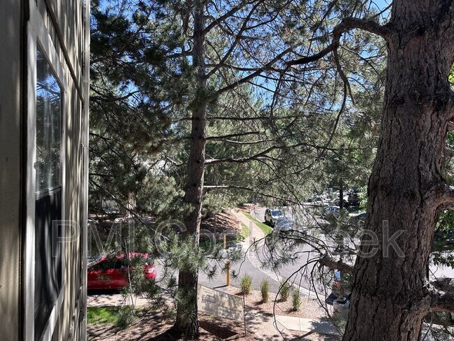 Building Photo - 2902 Shadow Creek Dr