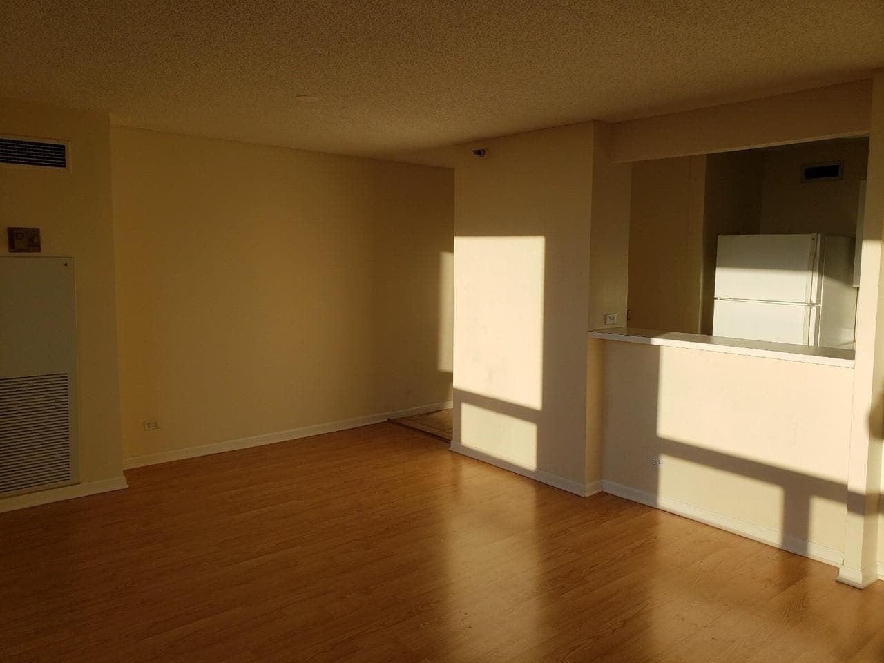 Living room without furniture - 440 N Wabash Ave