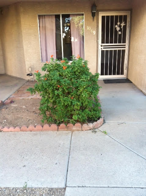 Building Photo - Great Condo for Rent!! Dont miss out!