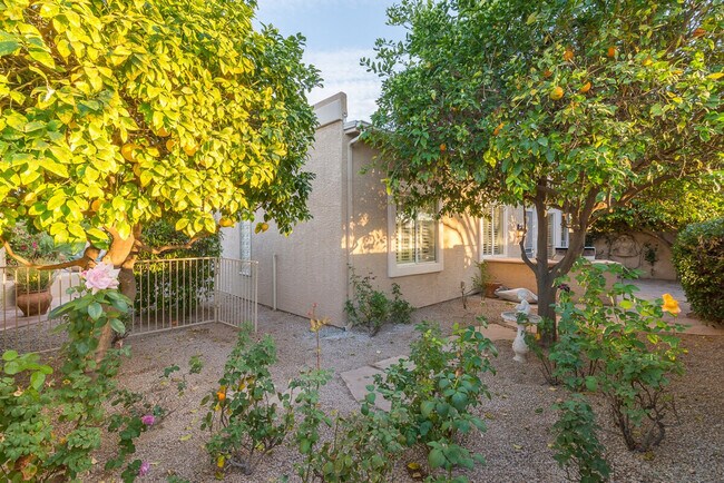 Building Photo - 9315 E Aster Dr