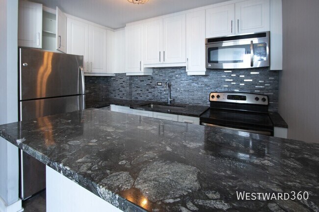 Building Photo - 1355 N Sandburg Terrace