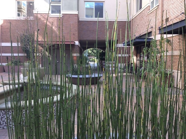 Building Photo - Appliances Included 3 BEDROOM HOME LOCATED IN DUBLIN!  - AVAILABLE ON NOV 15