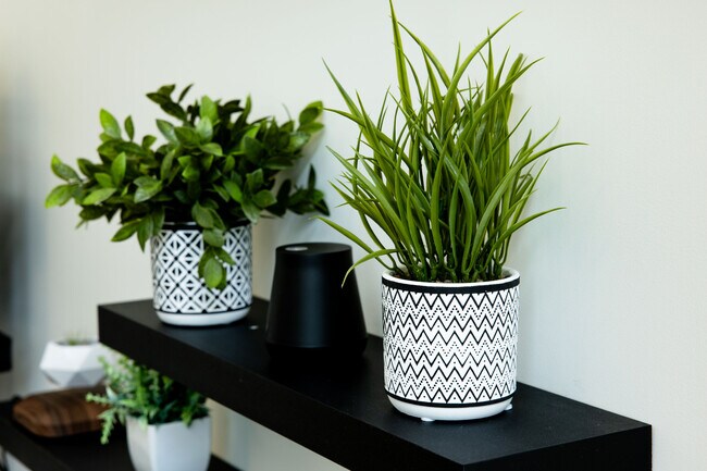 Building Photo - 507 S Park Dr