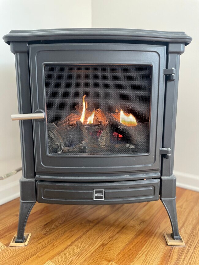 gas log fireplace - 2415 Wrights Way