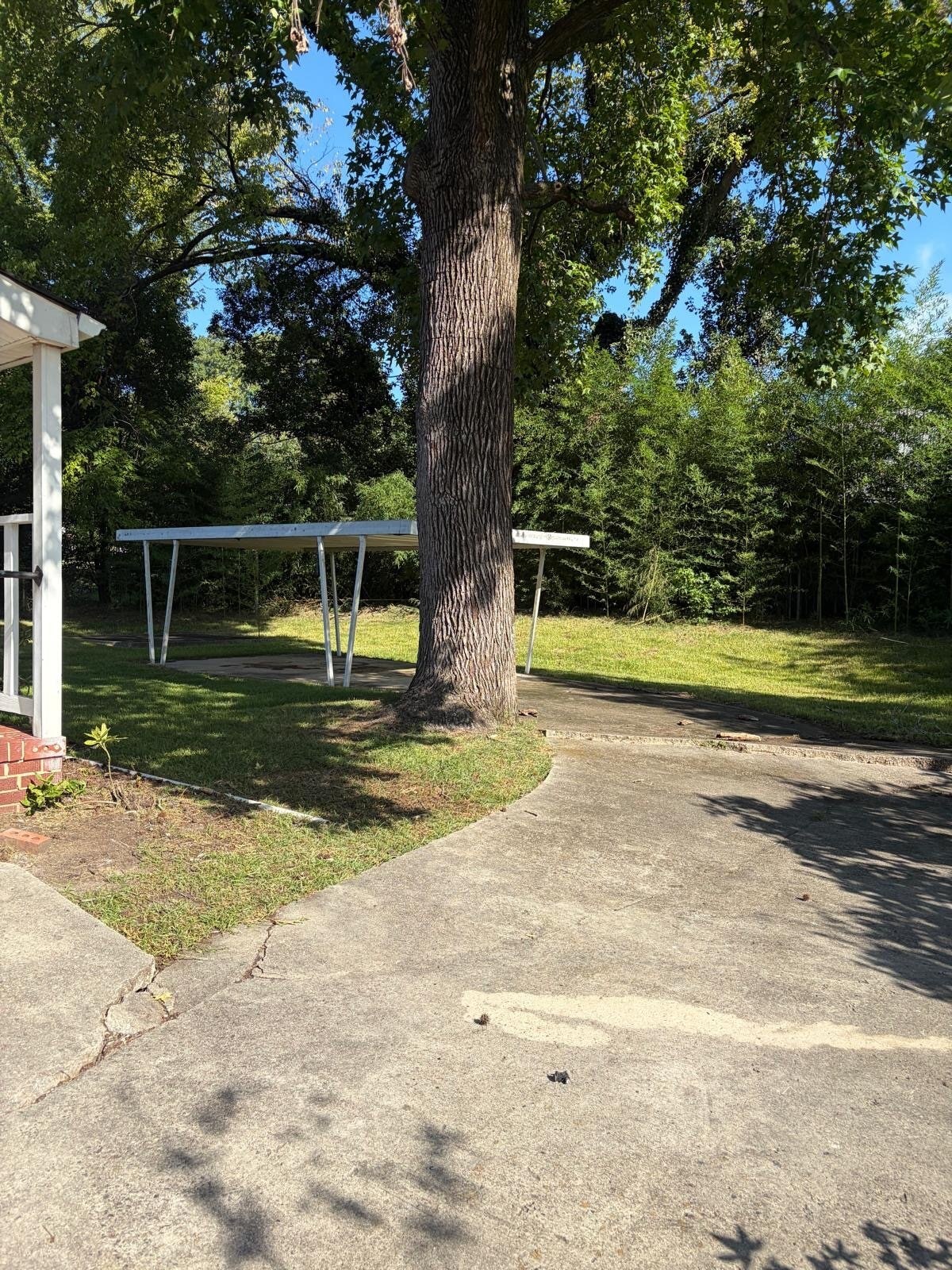Building Photo - 509 Ford Cir