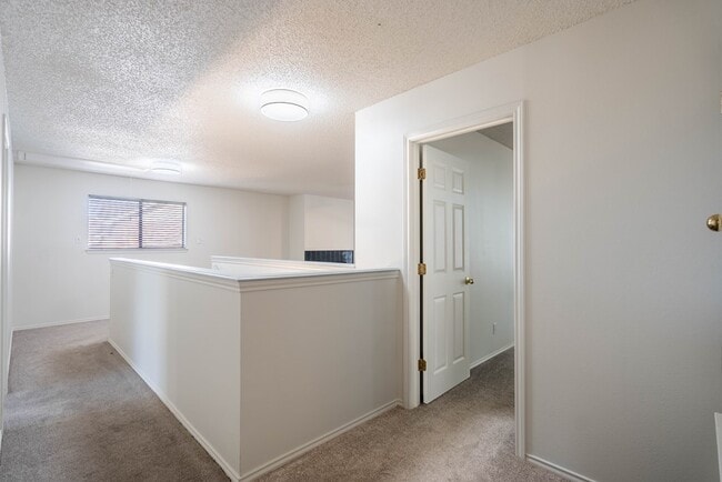 Building Photo - 8121 San Antonio St