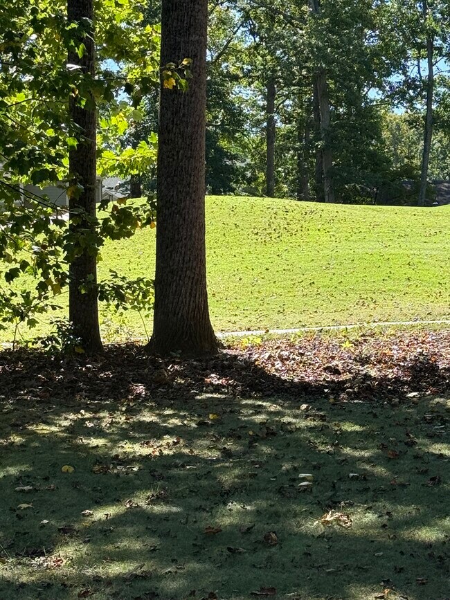 Building Photo - 4212 Lakeview Pkwy