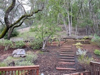 Building Photo - 11 Spinosa Way