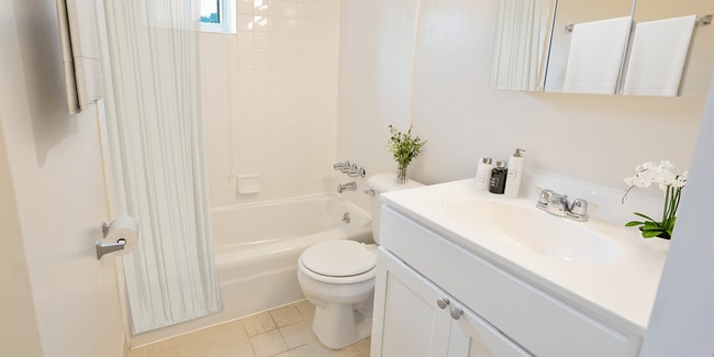 Bathroom Staged - Valley High