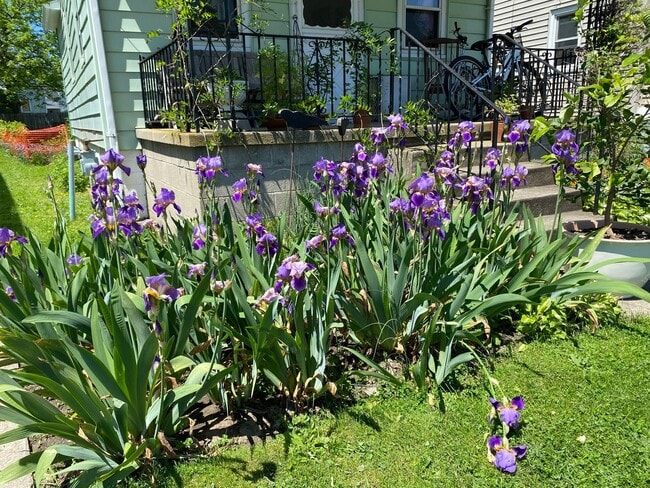 Building Photo - Sunny, Energy-Efficient Home in a Quiet, Close-to-Everything Neighborhood