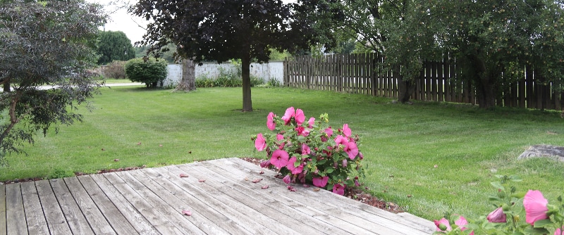 Building Photo - 1953 Greenbrier Ave