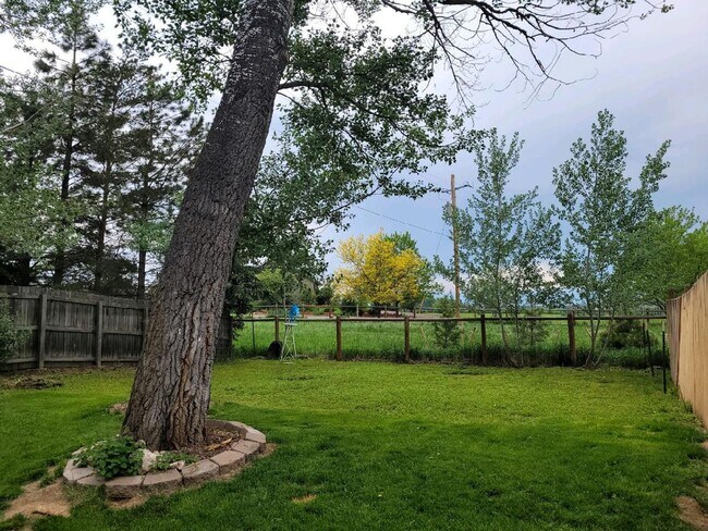 Building Photo - Pre-Lease Avail. 06/01 - Open & Bright, Updated Flooring, W/D Available