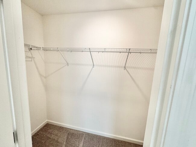 Building Photo - 113 Lorcan Ln