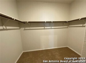 Building Photo - 2962 Wolfcreek