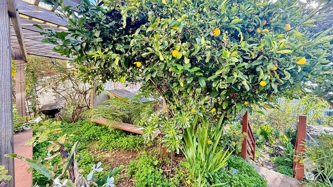 Building Photo - Charming Silver Terrace 3 Bedroom/1 BA SFH with Private Garden Oasis +Flex Bonus Room- AMSI