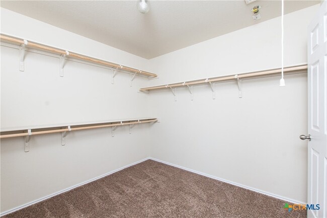 Building Photo - 3007 Black Orchid Dr