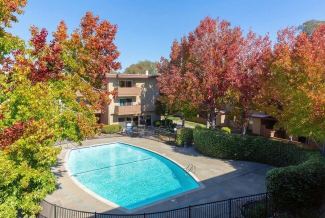 Building Photo - Modern 2-Bedroom Condo with Pool and Koi Pond Views
