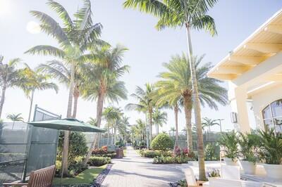 Building Photo - 128 Grand Palm Way
