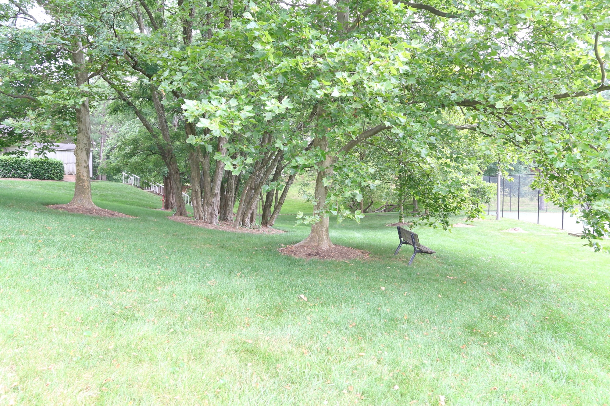 Grounds by Tennis Courts - 13619 Orchard Dr