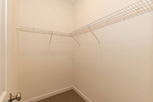 Building Photo - Brand New Three Bedroom Home!