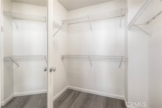 Building Photo - 786 Callecita Aquilla Sur