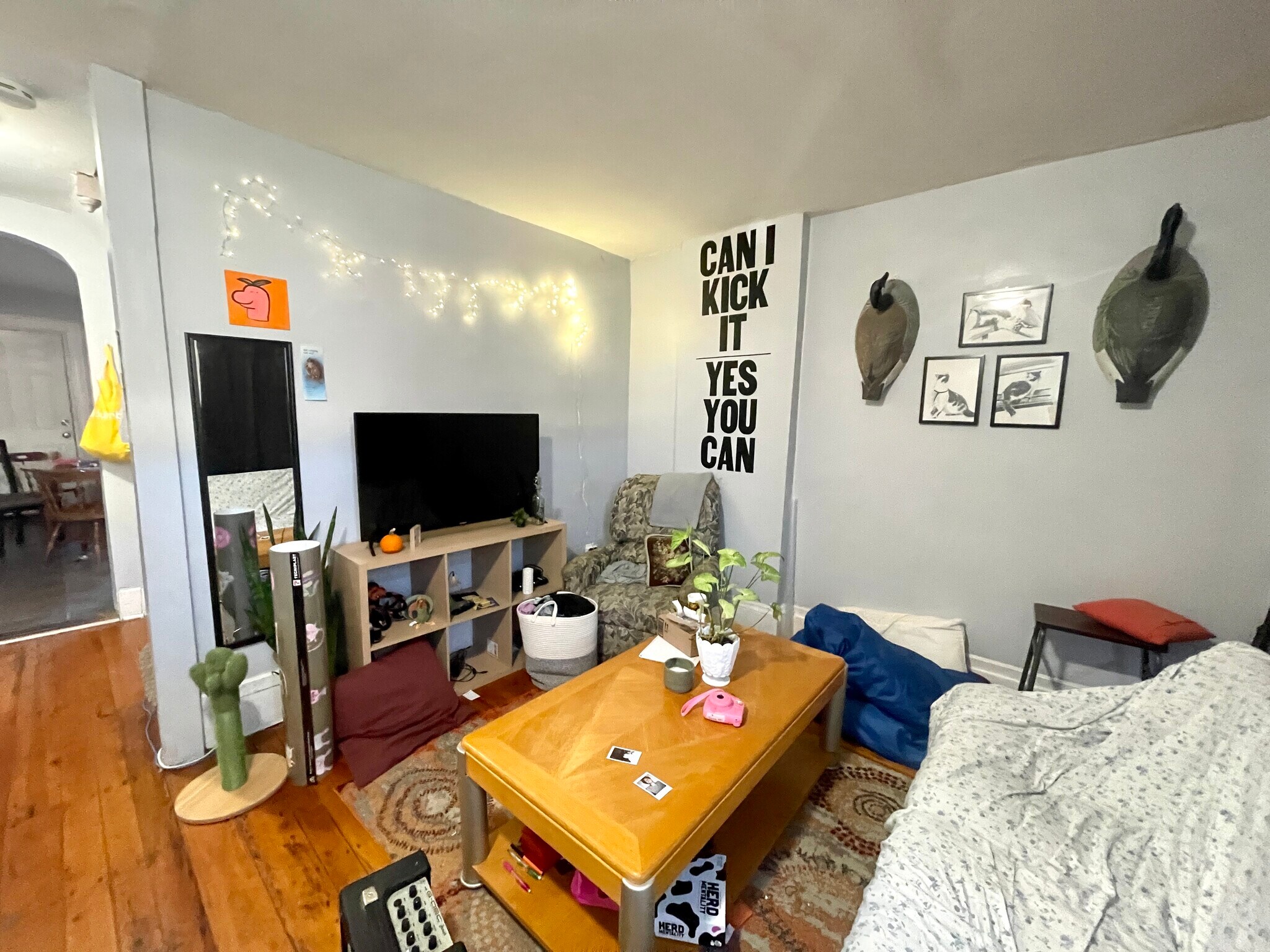 Building Photo - 68 Hammond St